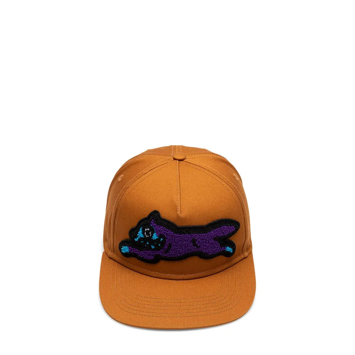 BARK SNAPBACK HAT