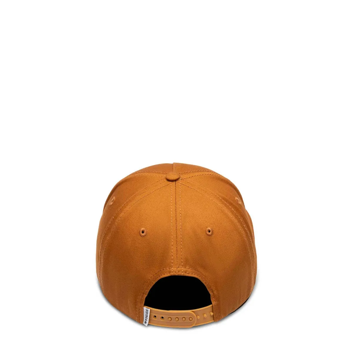 BARK SNAPBACK HAT