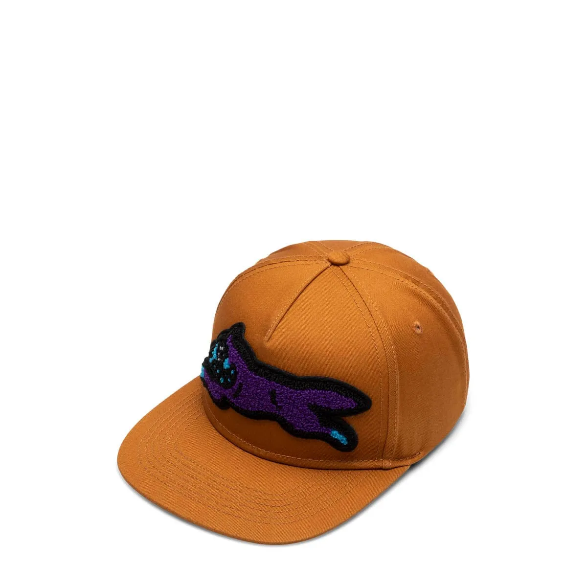 BARK SNAPBACK HAT